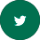 ícono red social twitter fondo verde contorno blanco